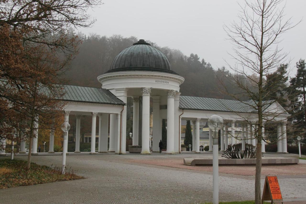 Apartman Karlovarská Mariánské Lázně Exterior foto